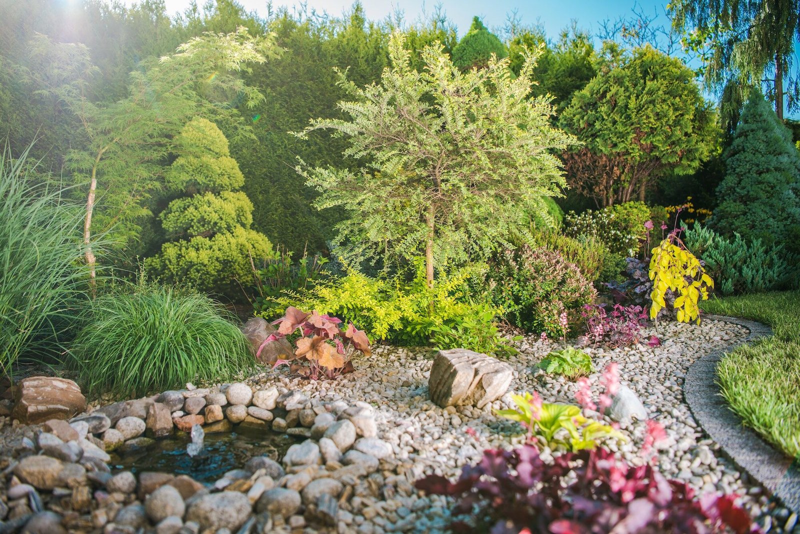 Creative Backyard Garden