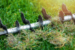 lawn | preventing | dead grass | LAWN | NEED | FACILITATED | difficulties | Renovations