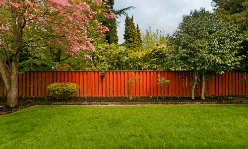 Natural | grass | landscape | renovations | can | frequently | resolve | individual | problems