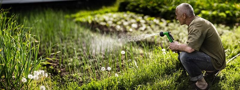 Best Time to Water Lawn