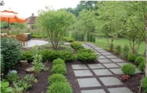 ground tree mulch