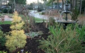 leaf mulch