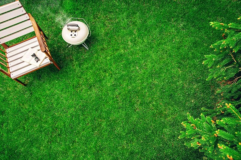when is early spring for lawn care - 1_RDK Landscape
