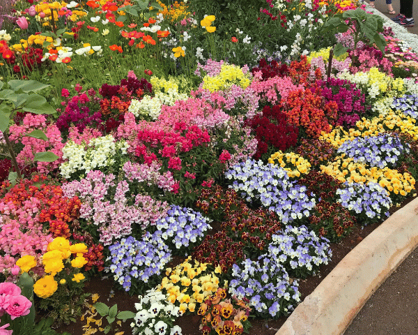 Best Flower Bed