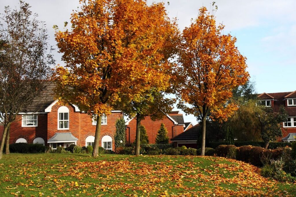 preparing for fall rdk landscaping