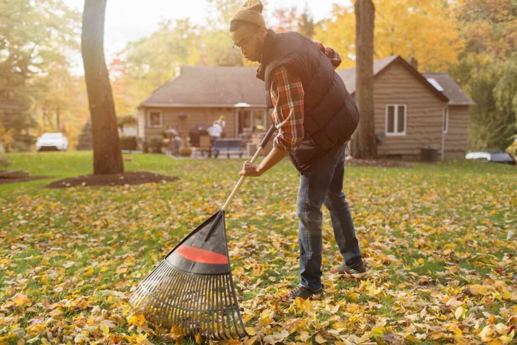 Taking care of fallen leaves in your yard