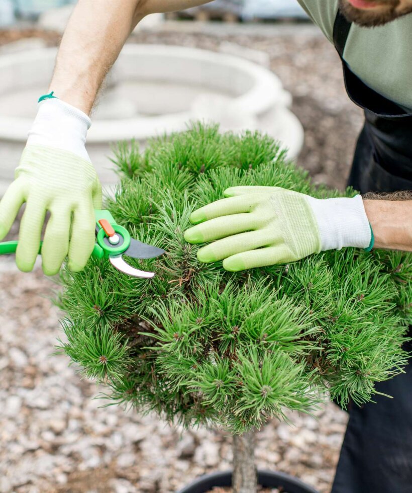 gardener-working-in-the-garden-2021-12-09-04-42-26-utc